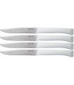 JUEGO DE CUCHILLOS DE MESA MICRODENTADOS Nº125 OPINEL 001904