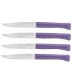 JUEGO DE CUCHILLOS DE MESA MICRODENTADOS Nº125 OPINEL 002199