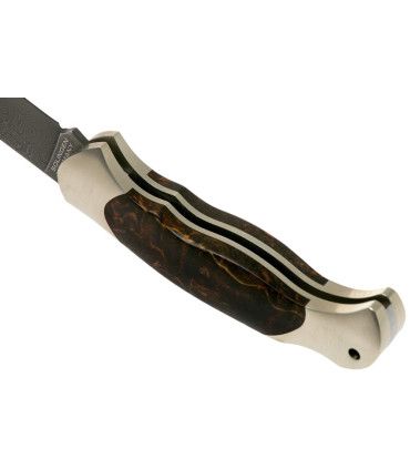 Navaja de LUJO "BÖKER SCOUT SPEARPOINT MASERBIRKE DAMAST"