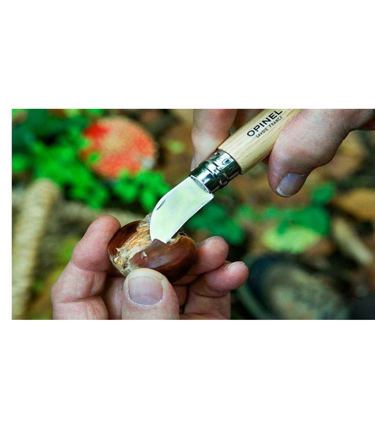 Navaja OPINEL Nº7 PARA CASTAÑAS 002360
