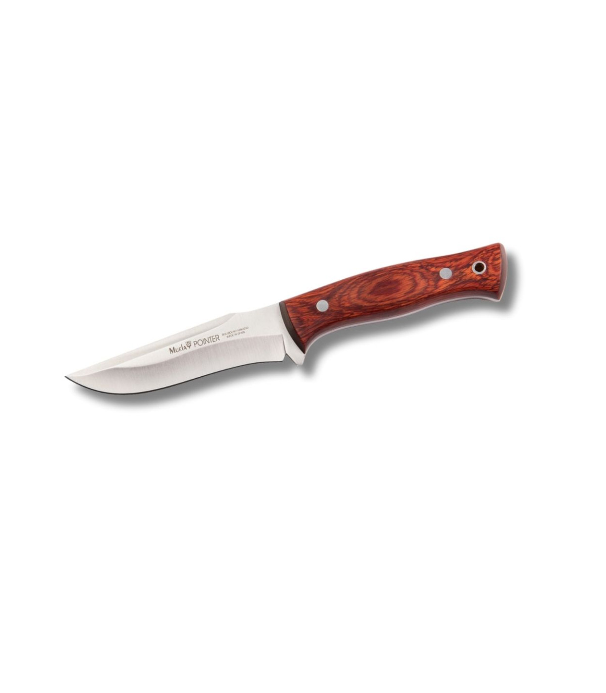 CUCHILLO ENTERIZO DE CAZA "POINTER 12 R" MUELA