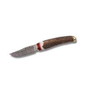CUCHILLO DE CAZA "BW-6DAM" MUELA