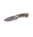 CUCHILLO DE LUJO "COLIBRI-7DAM" MUELA
