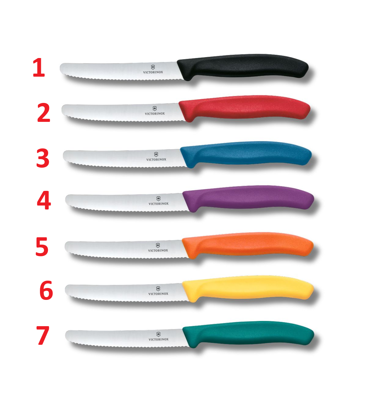Cuchillo de MESA SWISS CLASSIC VICTORINOX 6.7833