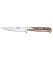 Cuchillo de CAZA "BABARO" JOKER CC26